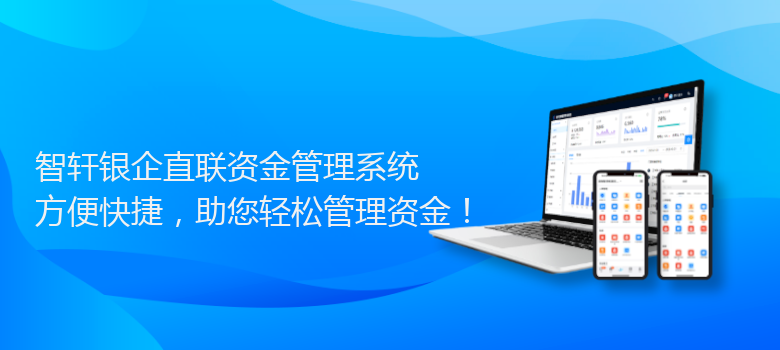 银企直联资金管理系统